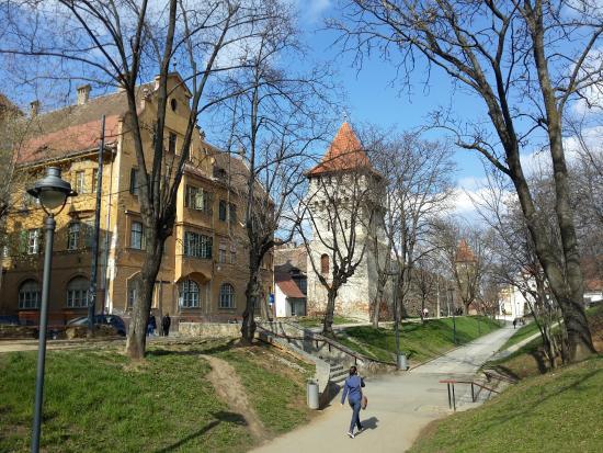 Muzeul Naţional Brukenthal